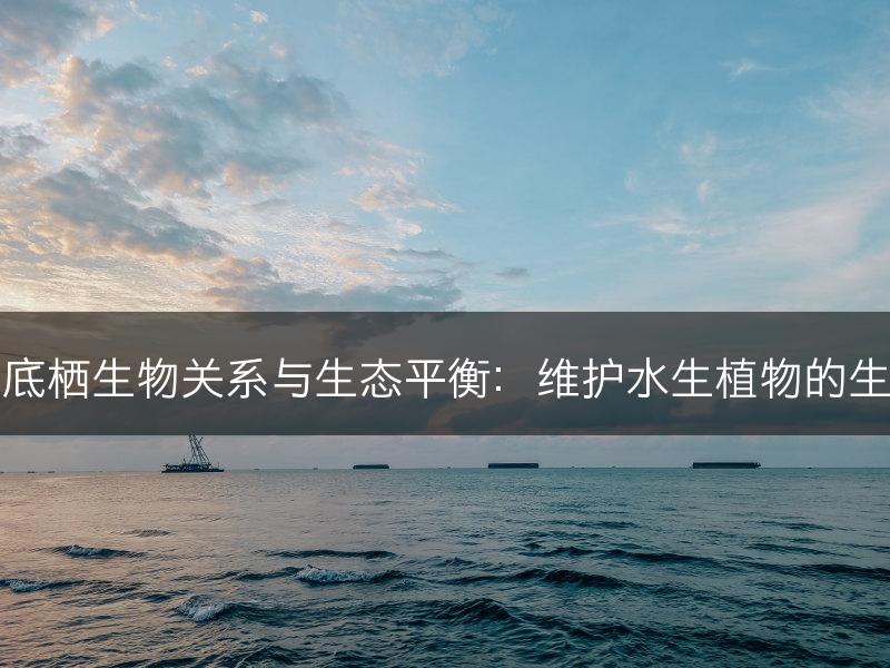 水生植物的底栖生物关系与生态平衡：维护水生植物的生态系统健康(图1)