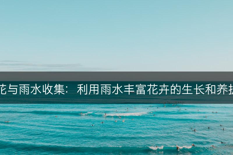 花与雨水收集：利用雨水丰富花卉的生长和养护(图1)