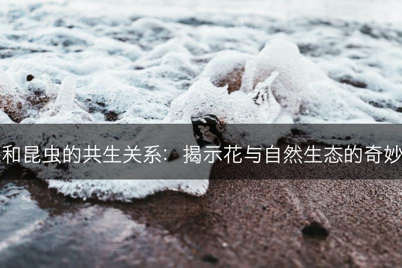 花朵和昆虫的共生关系：揭示花与自然生态的奇妙互动(图1)