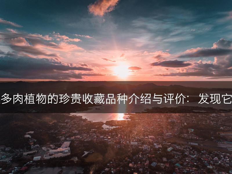 云南石莲多肉植物的珍贵收藏品种介绍与评价：发现它们的价值(图1)