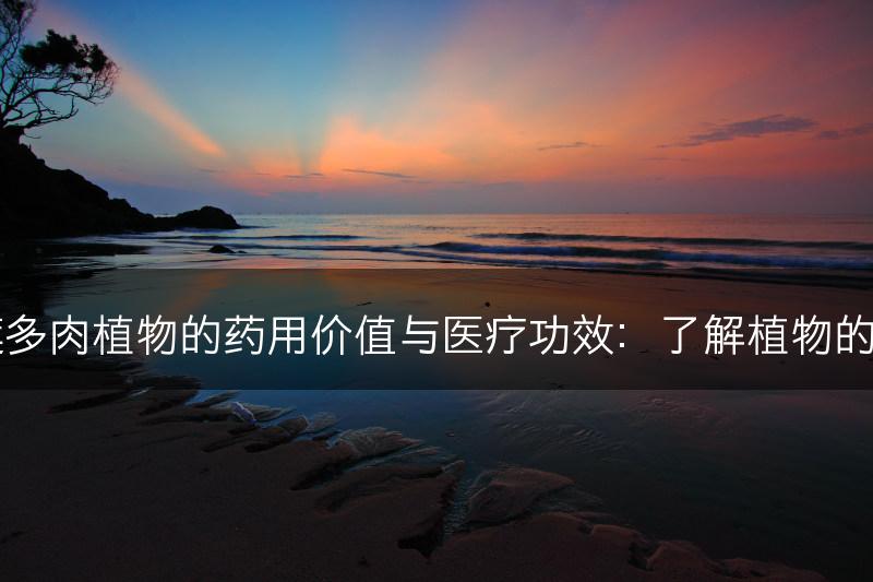 云南石莲多肉植物的药用价值与医疗功效：了解植物的健康作用(图1)