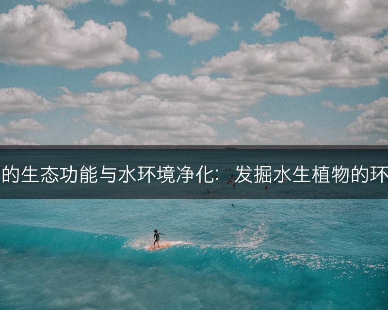 水生植物的生态功能与水环境净化：发掘水生植物的环境携手者(图1)