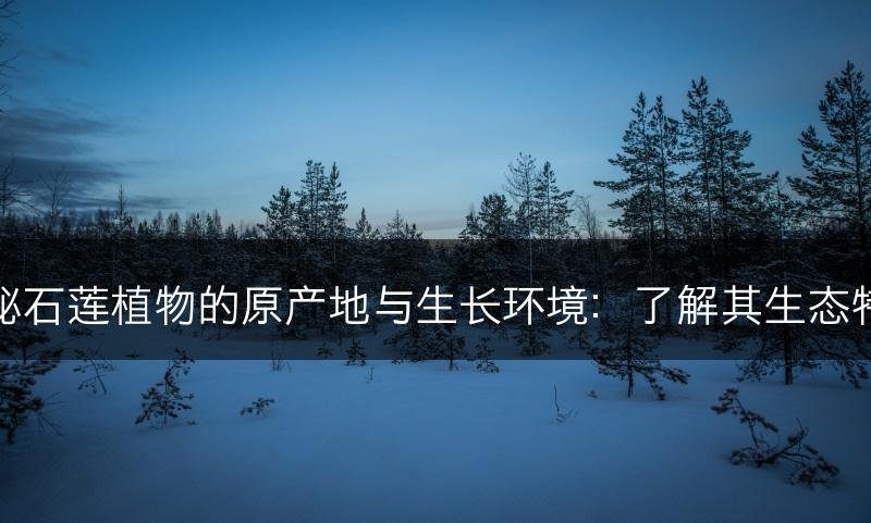 探秘石莲植物的原产地与生长环境：了解其生态特点(图1)