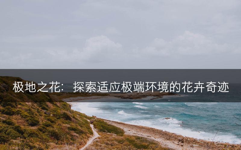 极地之花：探索适应极端环境的花卉奇迹(图1)