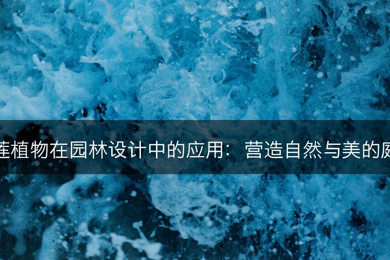 石莲植物在园林设计中的应用：营造自然与美的庭院(图1)