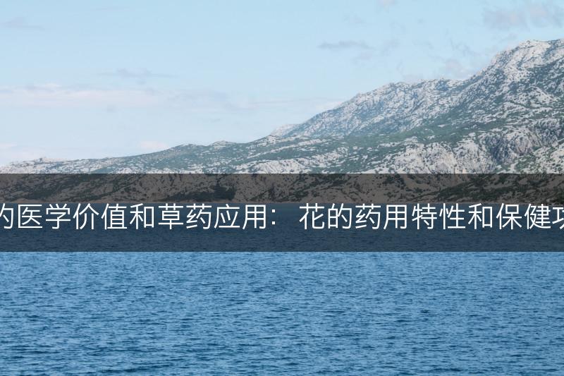 花的医学价值和草药应用：花的药用特性和保健功效(图1)