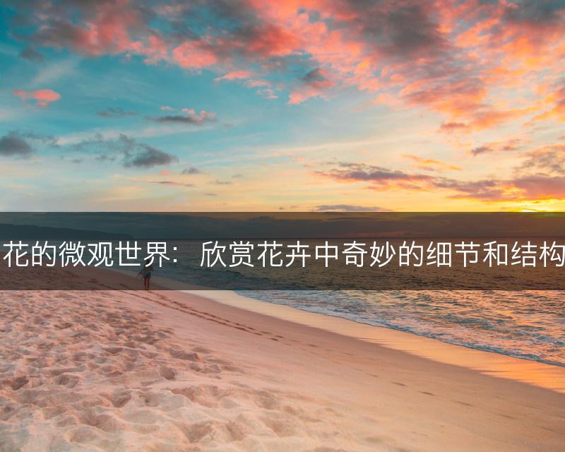 花的微观世界：欣赏花卉中奇妙的细节和结构(图1)