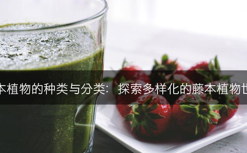 藤本植物的种类与分类:探索多样化的藤本植物世界(图1) 藤本植物的种类与分类:探索多样化的藤本植物世界(图1)