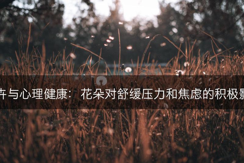 花卉与心理健康：花朵对舒缓压力和焦虑的积极影响(图1)