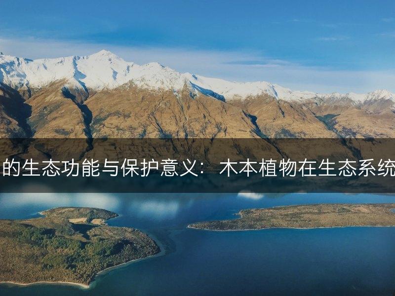 木本植物的生态功能与保护意义：木本植物在生态系统中的作用(图1)