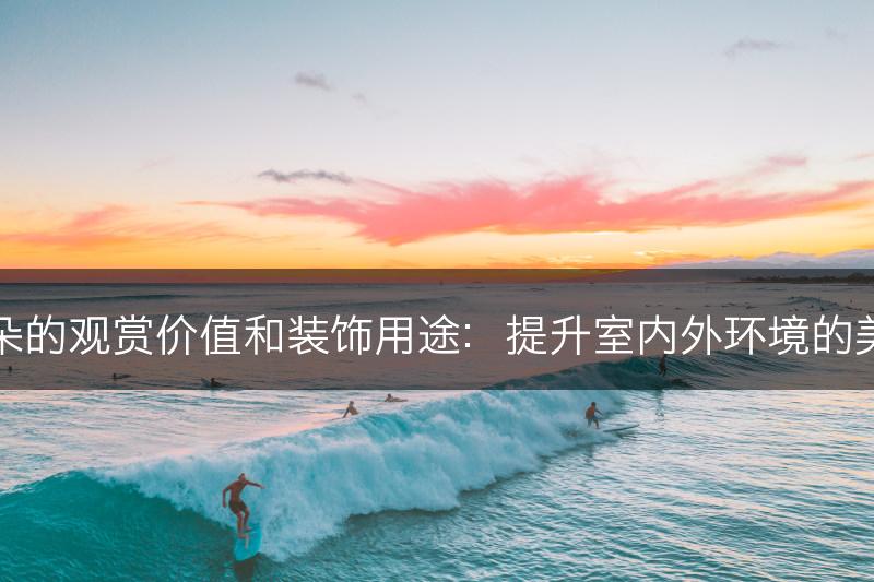 花朵的观赏价值和装饰用途：提升室内外环境的美感(图1)