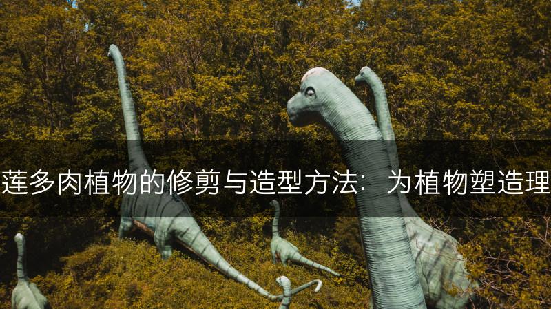 云南石莲多肉植物的修剪与造型方法：为植物塑造理想形态(图1)