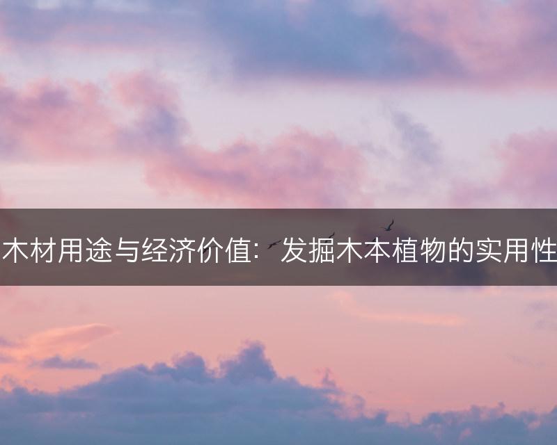 木本植物的木材用途与经济价值：发掘木本植物的实用性与商业前景(图1)