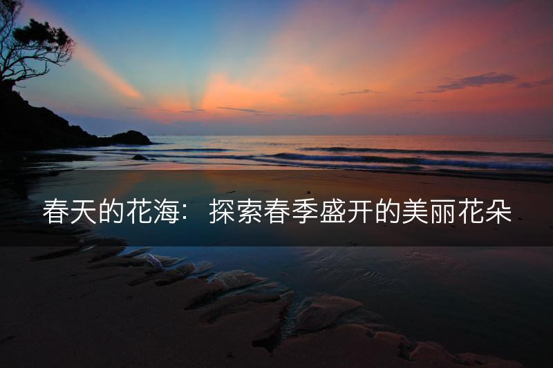 春天的花海：探索春季盛开的美丽花朵(图1)