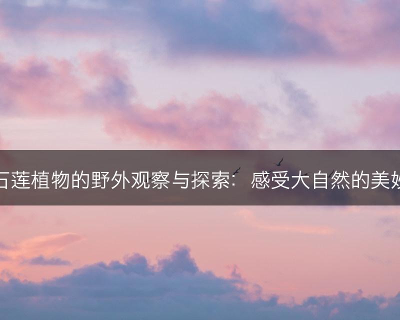 石莲植物的野外观察与探索：感受大自然的美妙(图1)