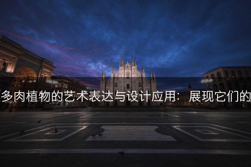 云南石莲多肉植物的艺术表达与设计应用：展现它们的美学价值(图1)