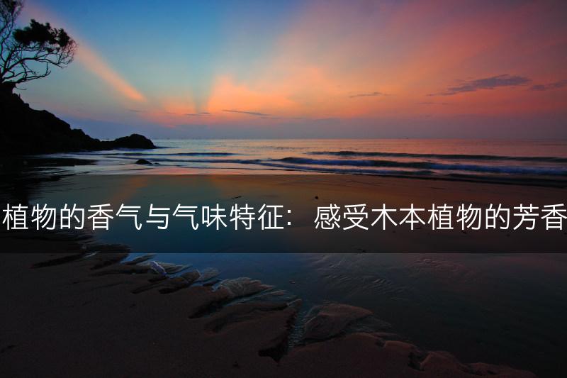木本植物的香气与气味特征：感受木本植物的芳香之美(图1)