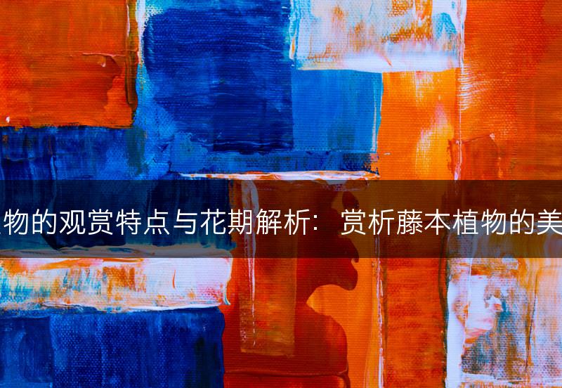 藤本植物的观赏特点与花期解析:赏析藤本植物的美丽时刻(图1) 藤本植物的观赏特点与花期解析:赏析藤本植物的美丽时刻(图1)