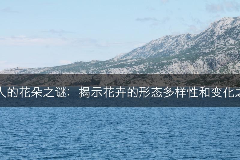 迷人的花朵之谜：揭示花卉的形态多样性和变化之美(图1)