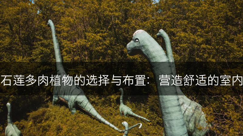 室内云南石莲多肉植物的选择与布置：营造舒适的室内绿化环境(图1)