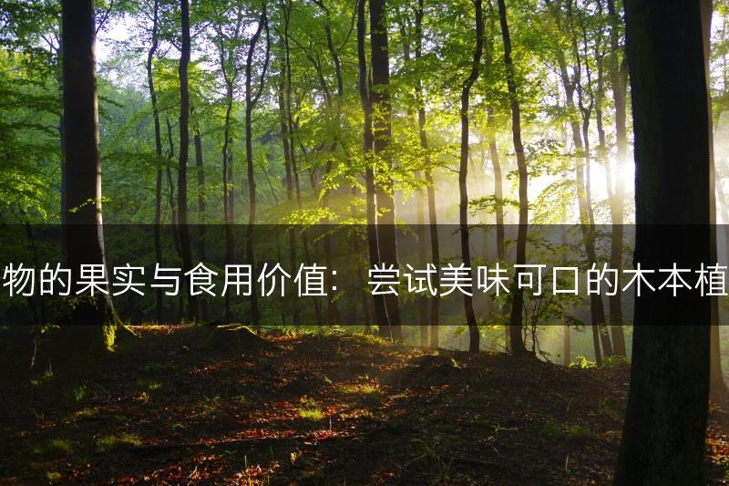 木本植物的果实与食用价值：尝试美味可口的木本植物水果(图1)