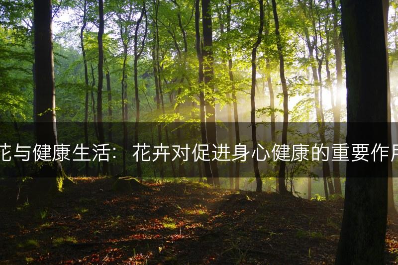 花与健康生活：花卉对促进身心健康的重要作用(图1)