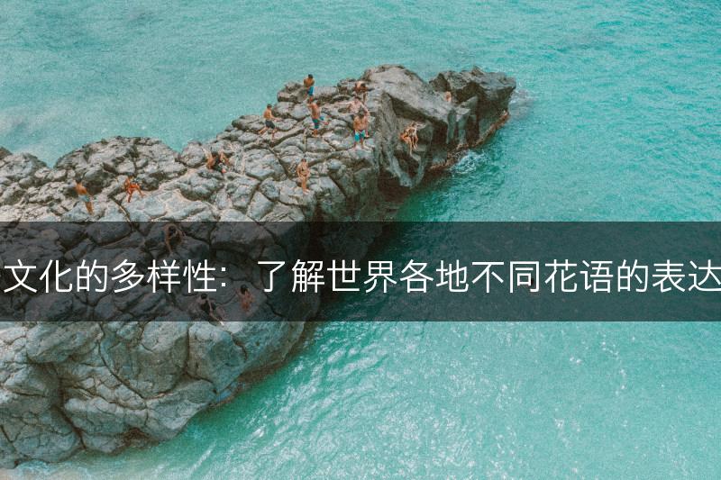 花语文化的多样性：了解世界各地不同花语的表达方式(图1)