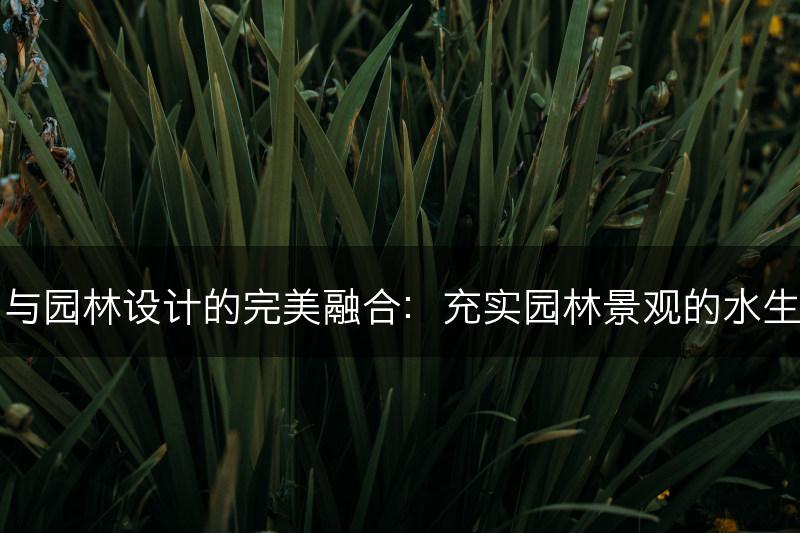 水生植物与园林设计的完美融合：充实园林景观的水生植物元素(图1)