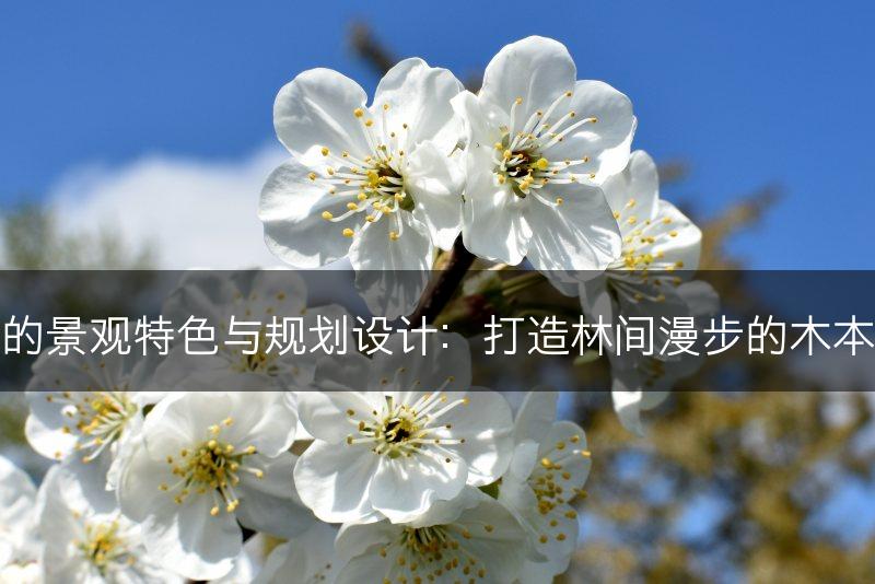 木本植物的景观特色与规划设计：打造林间漫步的木本植物景观(图1)
