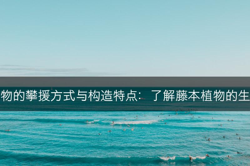 藤本植物的攀援方式与构造特点:了解藤本植物的生长形态(图1) 藤本植物的攀援方式与构造特点:了解藤本植物的生长形态(图1)