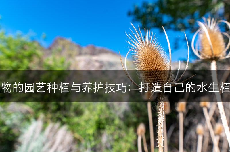 水生植物的园艺种植与养护技巧：打造自己的水生植物花园(图1)