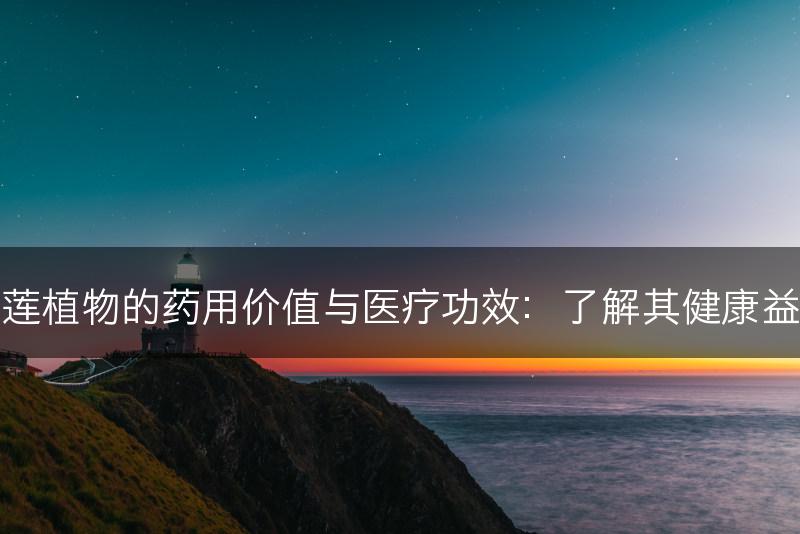 石莲植物的药用价值与医疗功效：了解其健康益处(图1)