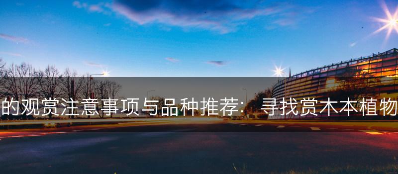 木本植物的观赏注意事项与品种推荐：寻找赏木本植物的好去处(图1)