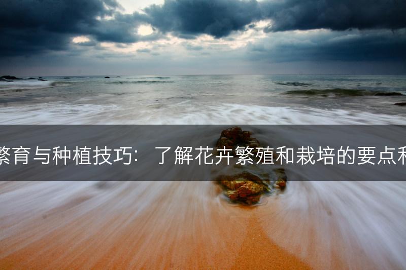 花的繁育与种植技巧：了解花卉繁殖和栽培的要点和方法(图1)