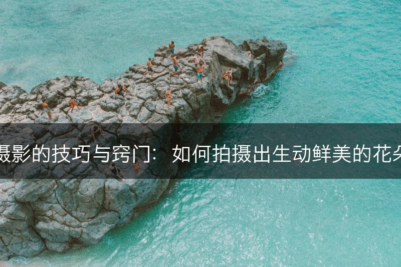花卉摄影的技巧与窍门：如何拍摄出生动鲜美的花朵照片(图1)