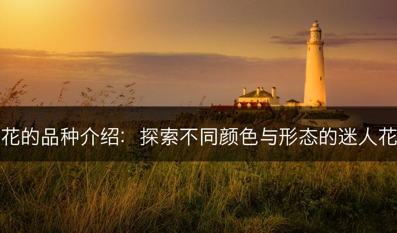 梅花的品种介绍：探索不同颜色与形态的迷人花朵(图1)