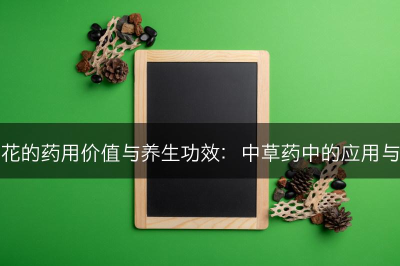 丁香花的药用价值与养生功效：中草药中的应用与益处(图1)