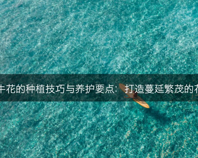 牵牛花的种植技巧与养护要点：打造蔓延繁茂的花园(图1)