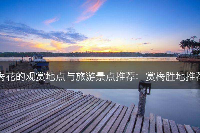 梅花的观赏地点与旅游景点推荐：赏梅胜地推荐(图1)