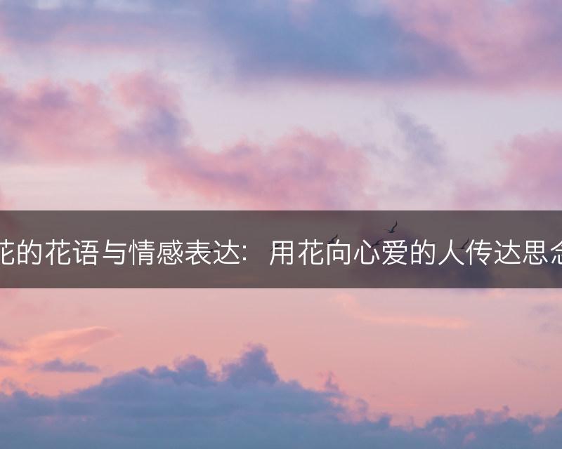 海棠花的花语与情感表达：用花向心爱的人传达思念之情(图1)