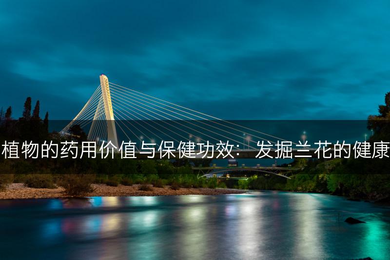 兰科植物的药用价值与保健功效：发掘兰花的健康之道(图1)
