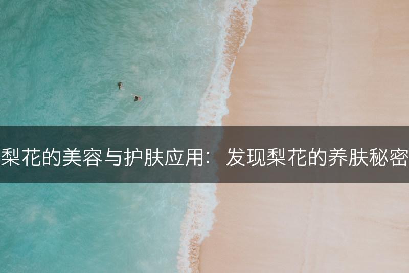 梨花的美容与护肤应用：发现梨花的养肤秘密(图1)