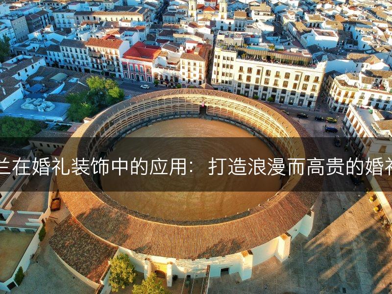 白玉兰在婚礼装饰中的应用：打造浪漫而高贵的婚礼场景(图1)