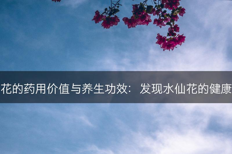 水仙花的药用价值与养生功效：发现水仙花的健康之道(图1)