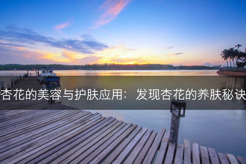 杏花的美容与护肤应用：发现杏花的养肤秘诀(图1)