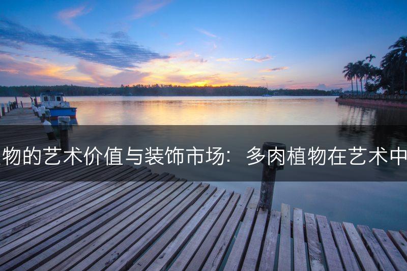 多肉植物的艺术价值与装饰市场：多肉植物在艺术中的运用(图1)