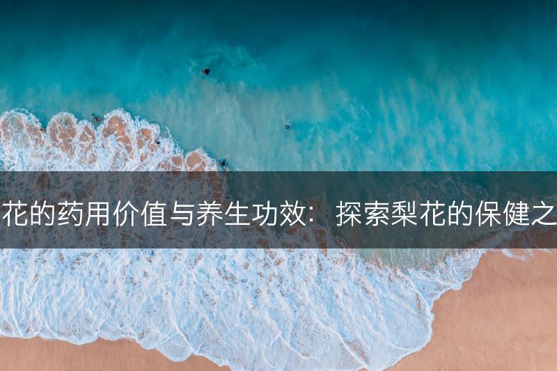 梨花的药用价值与养生功效：探索梨花的保健之道(图1)