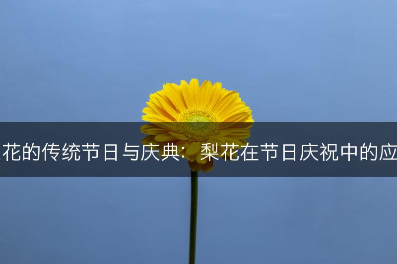 梨花的传统节日与庆典：梨花在节日庆祝中的应用(图1)