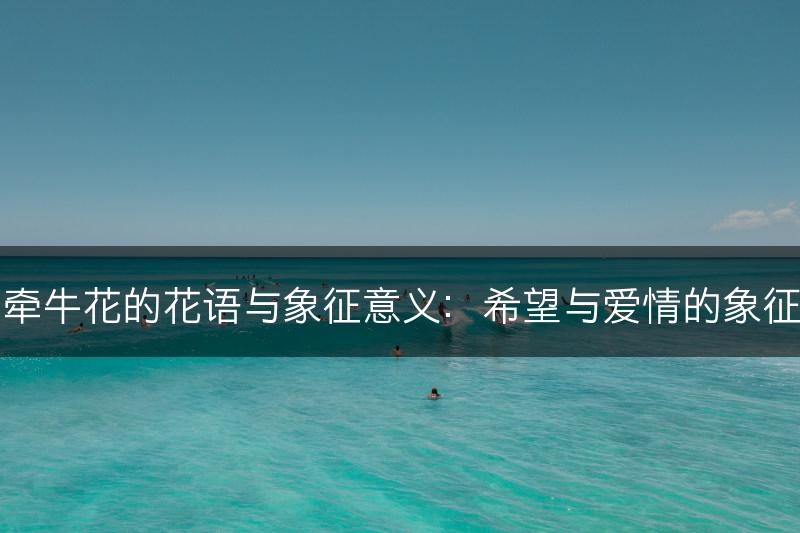 牵牛花的花语与象征意义：希望与爱情的象征(图1)