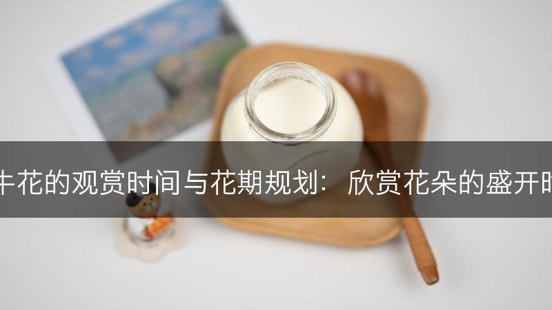 牵牛花的观赏时间与花期规划：欣赏花朵的盛开时刻(图1)